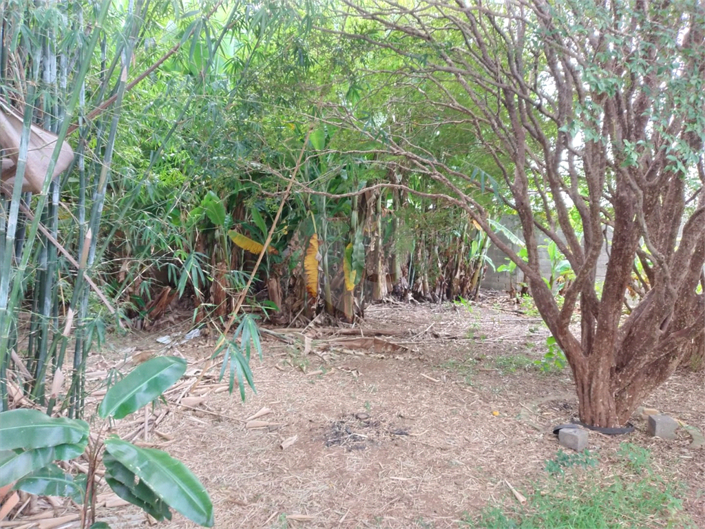 TERRENO em CUPECÊ