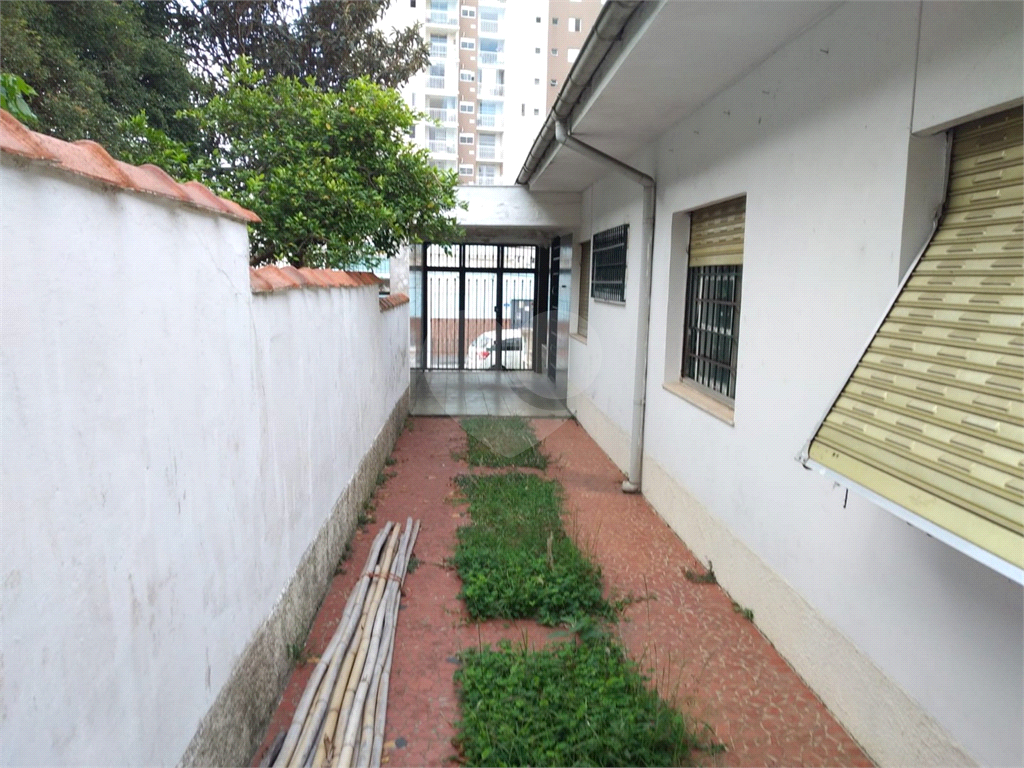 TERRENO em CUPECÊ