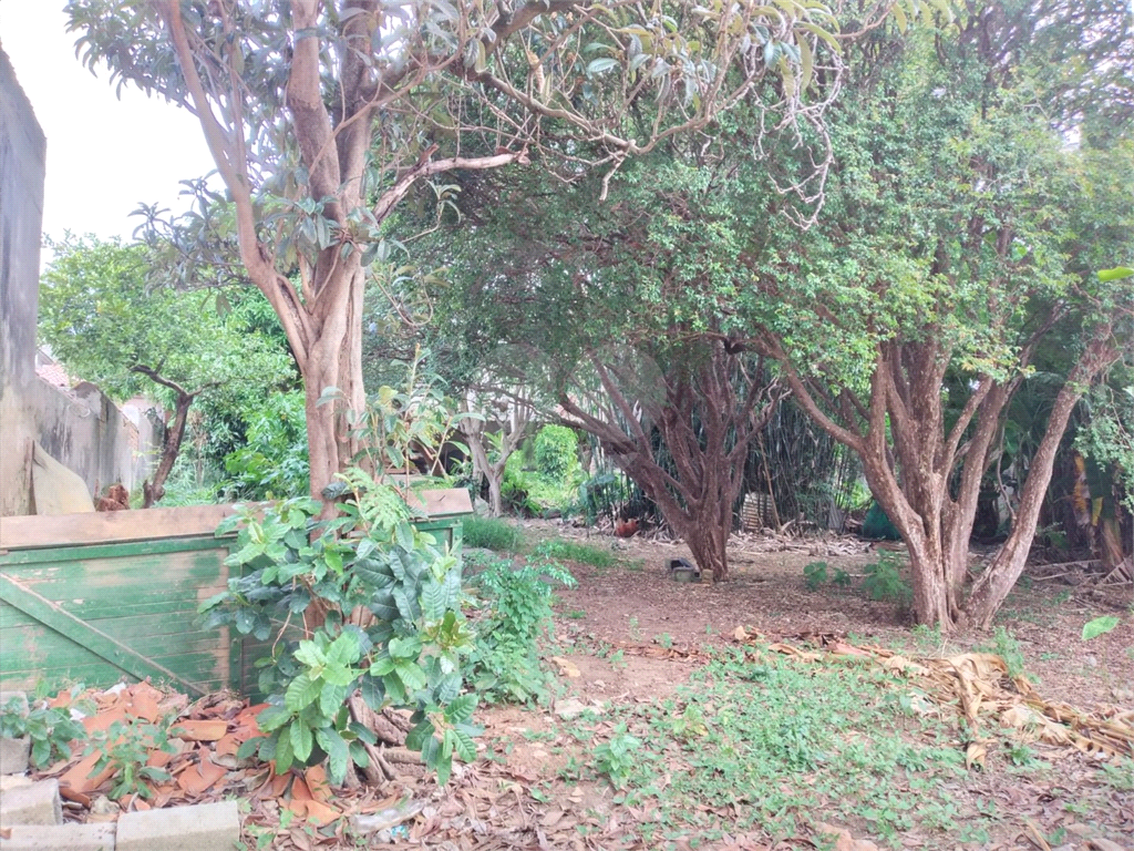 TERRENO em CUPECÊ