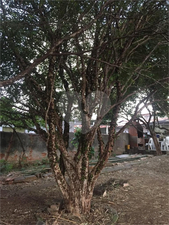 TERRENO em CUPECÊ