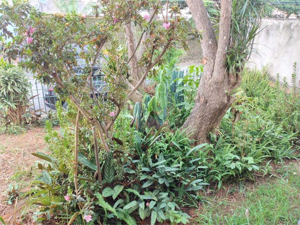 TERRENO em CUPECÊ