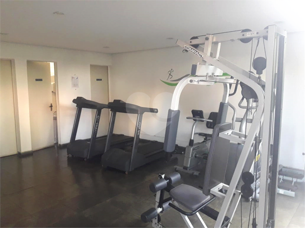 Apartamento para alugar no Lauzane Paulista