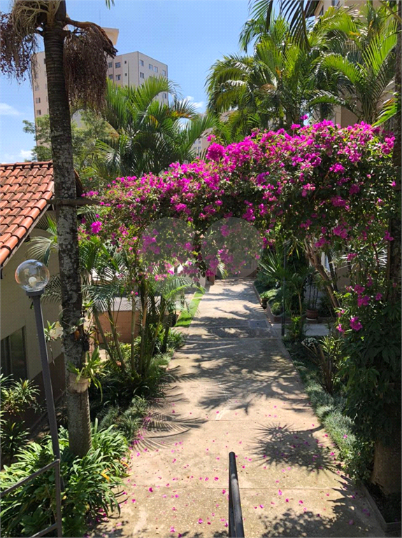 Apartamento Vila Inglesa 