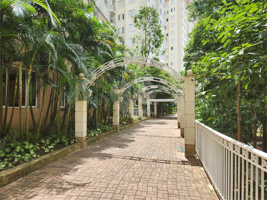 APARTAMENTO em BUTANTÃ