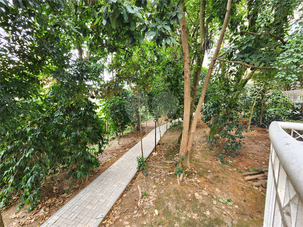 APARTAMENTO em BUTANTÃ