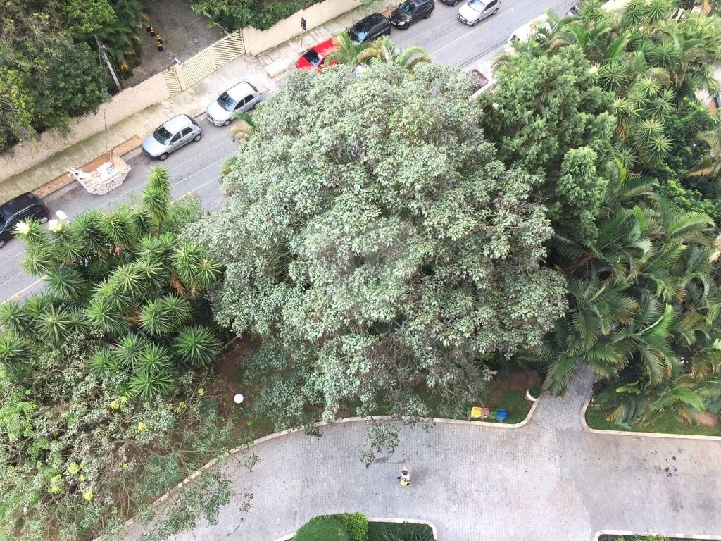 Maravilhoso apartamento em  um dos melhores condomínios da zona Norte e próximo ao Metrô Tucuruvi!