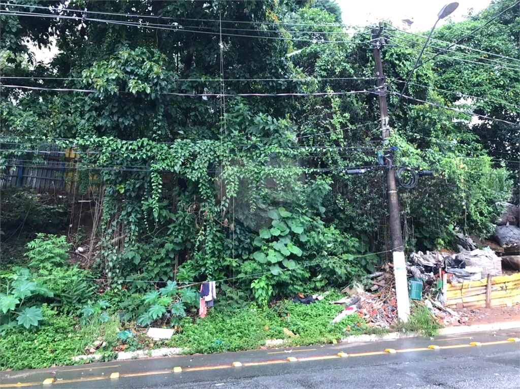 TERRENO em MORUMBI