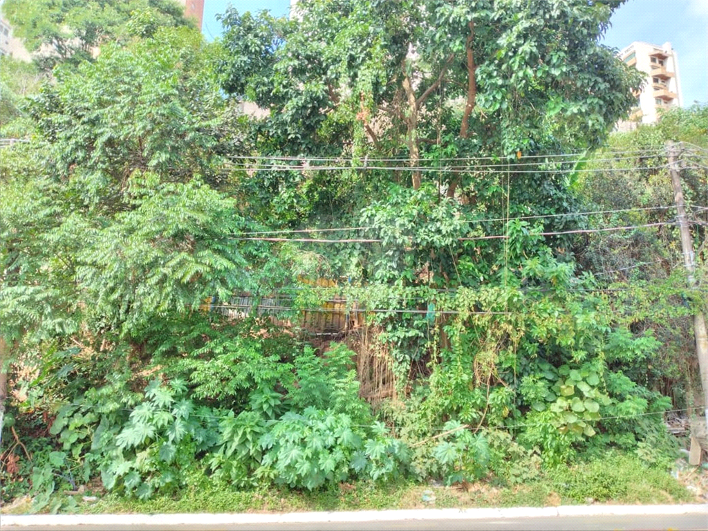 TERRENO em MORUMBI