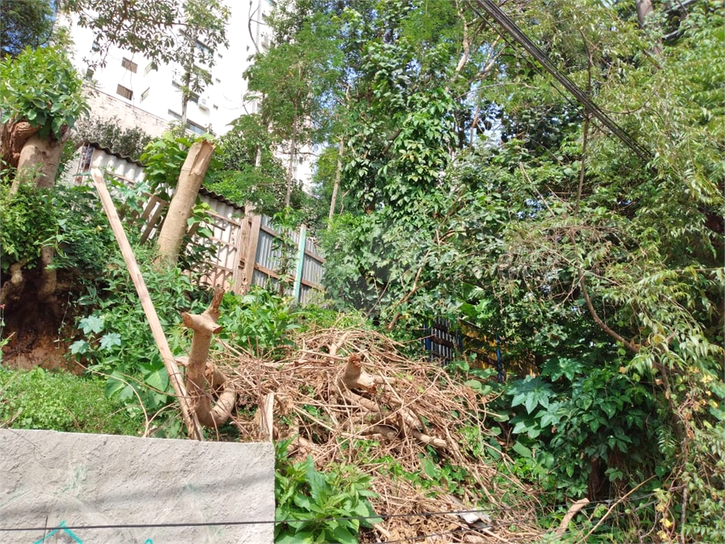 TERRENO em MORUMBI