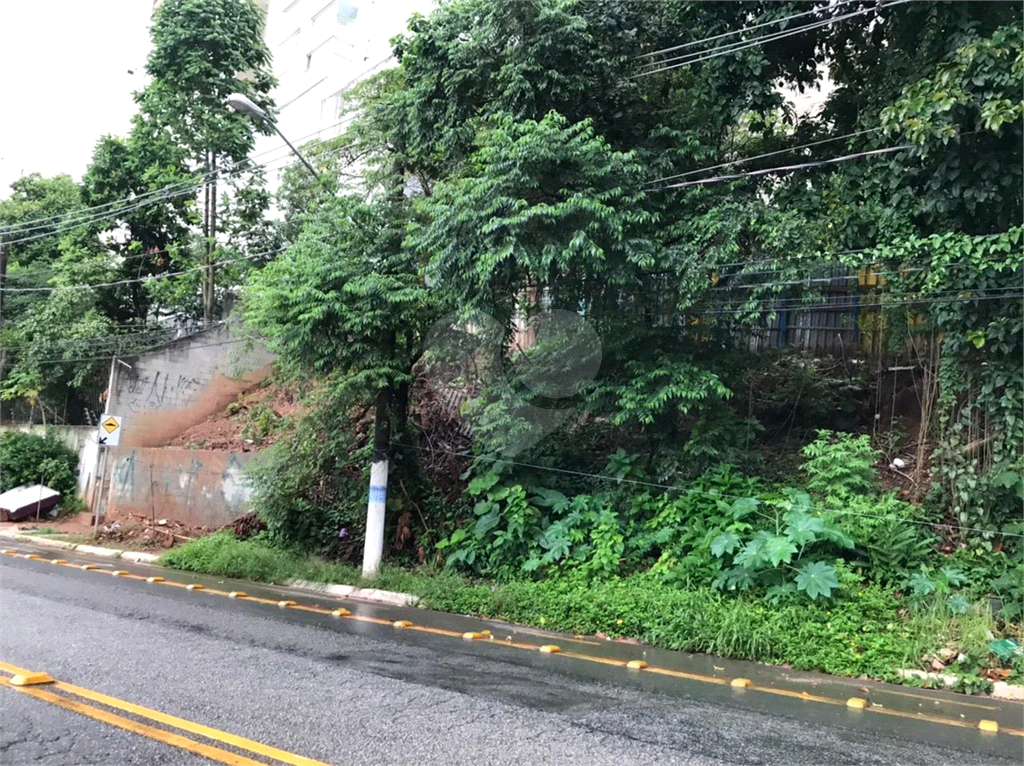TERRENO em MORUMBI