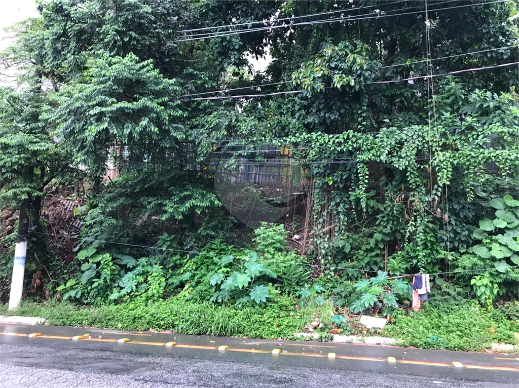 TERRENO em MORUMBI