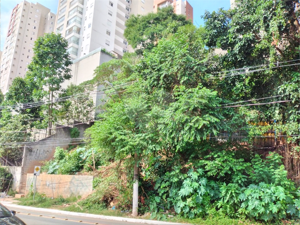 TERRENO em MORUMBI