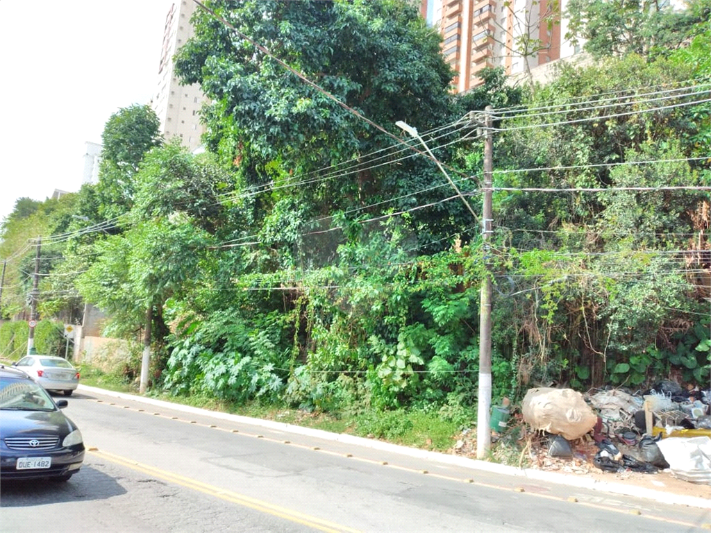 TERRENO em MORUMBI