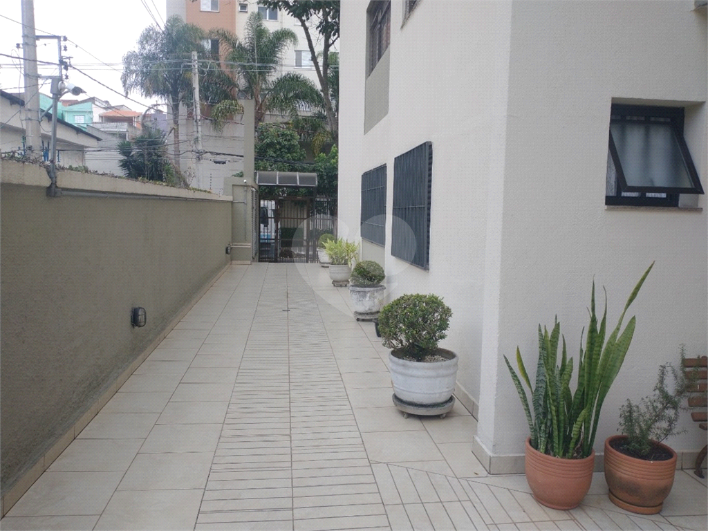 APARTAMENTO em MANDAQUI