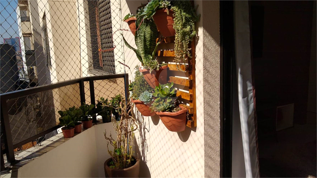 APARTAMENTO em TREMEMBÉ