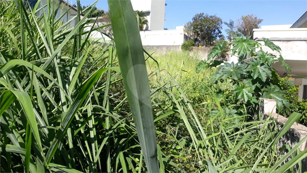 Terreno no Jardim São Bento com 600 metros  topografia plana para construção de Casa de Alto Padrão!