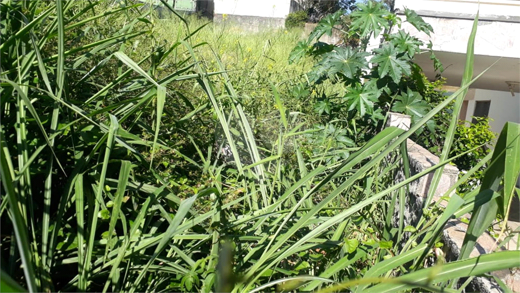 Terreno no Jardim São Bento com 600 metros  topografia plana para construção de Casa de Alto Padrão!