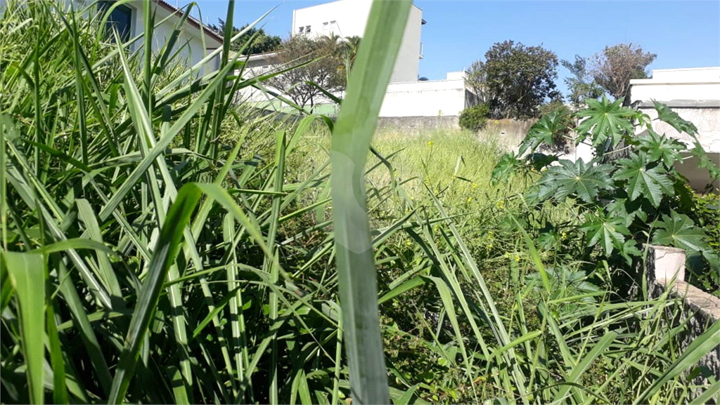Terreno no Jardim São Bento com 600 metros  topografia plana para construção de Casa de Alto Padrão!