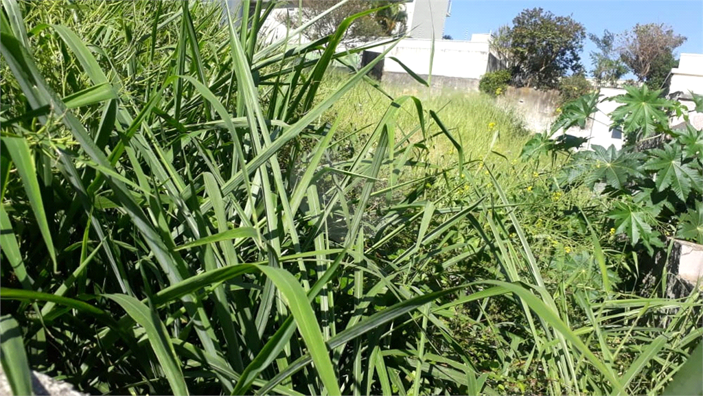 Terreno no Jardim São Bento com 600 metros  topografia plana para construção de Casa de Alto Padrão!