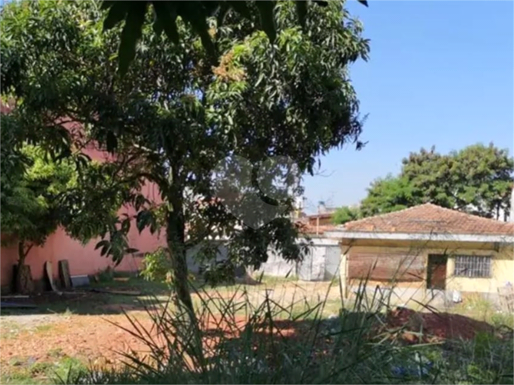 Terreno, 1500 m² - Foto 4