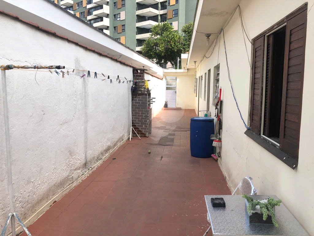 TERRENO em LAPA