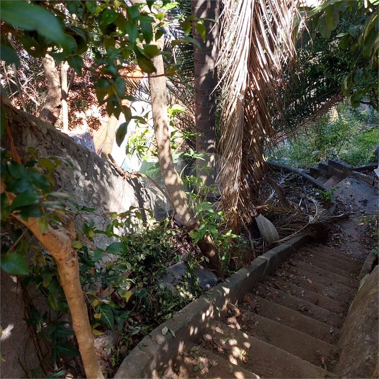 TERRENO em VILA GUSTAVO