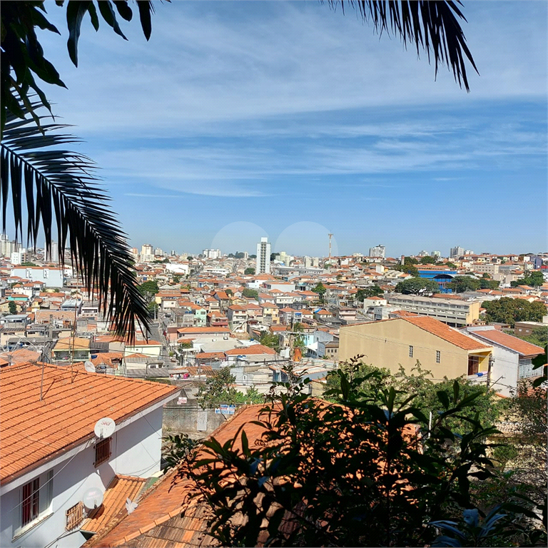 TERRENO em VILA GUSTAVO