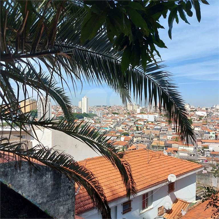 TERRENO em VILA GUSTAVO