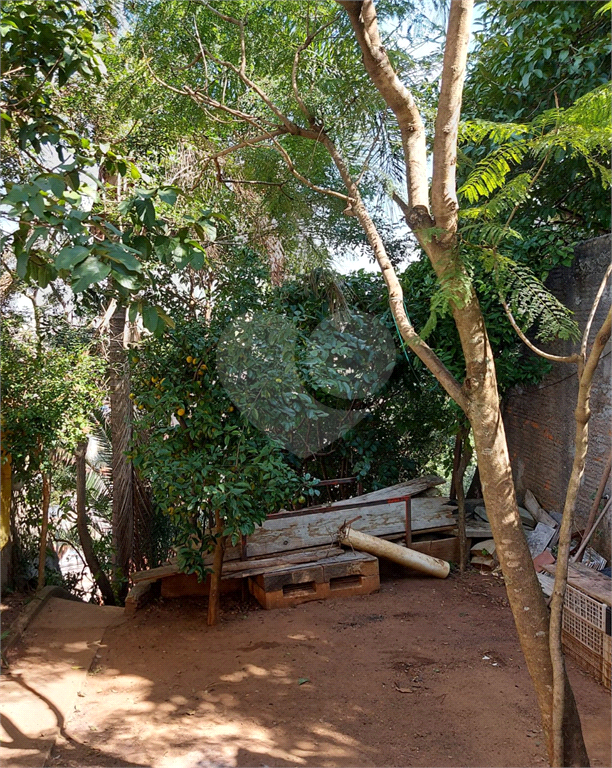 TERRENO em VILA GUSTAVO