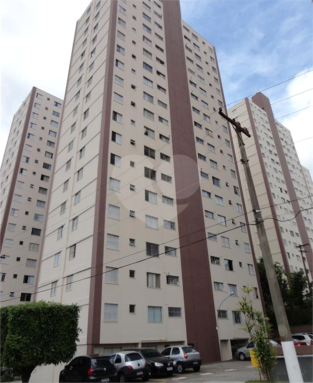 APARTAMENTO em HORTO