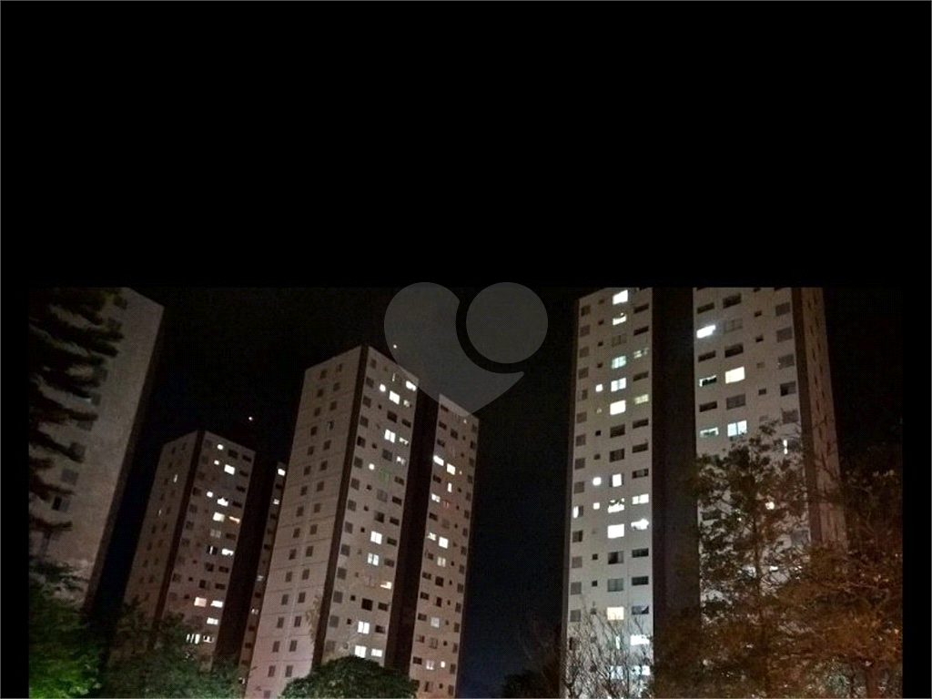 APARTAMENTO em HORTO