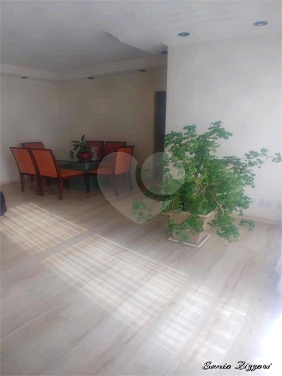 APARTAMENTO NO CAMBUCI