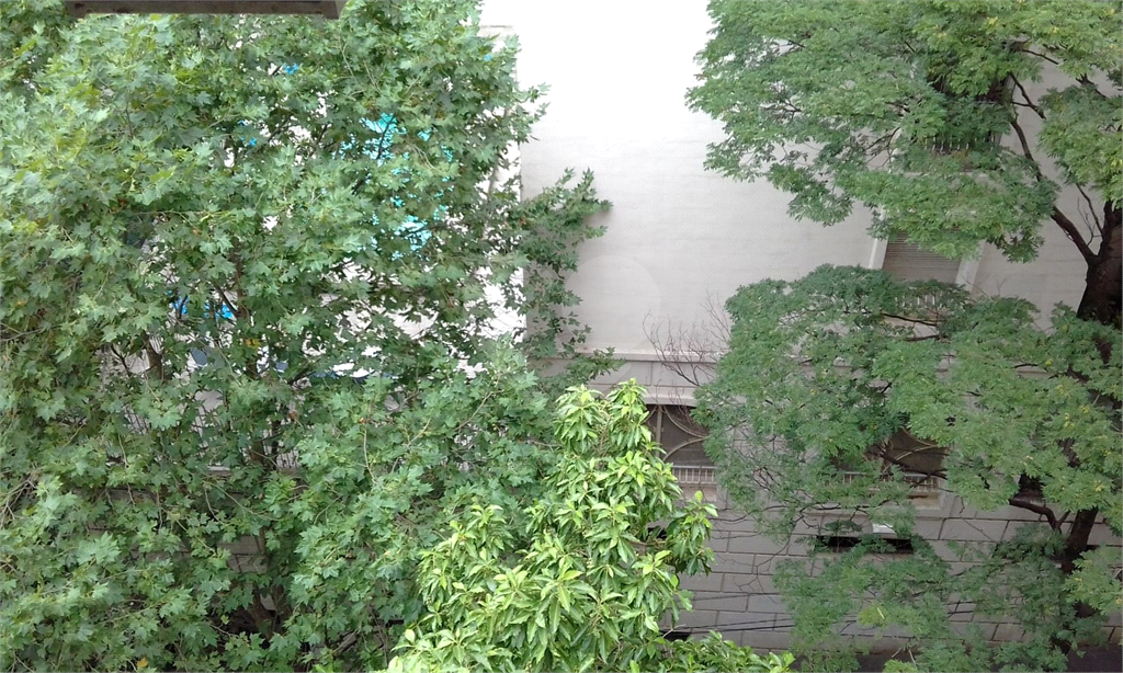 APARTAMENTO em CONSOLAÇÃO