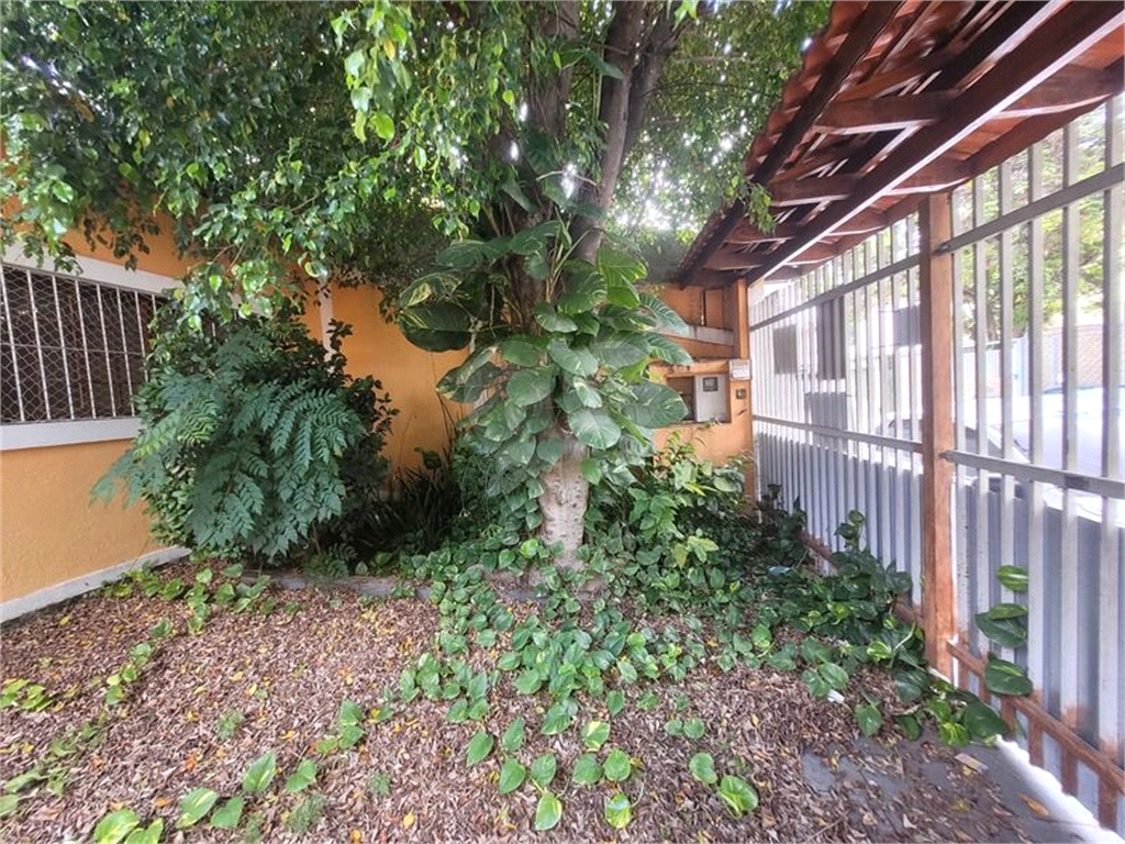 CASA em TUCURUVI