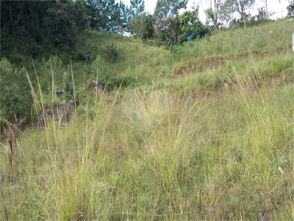 Terreno à venda, 17537m² - Foto 8