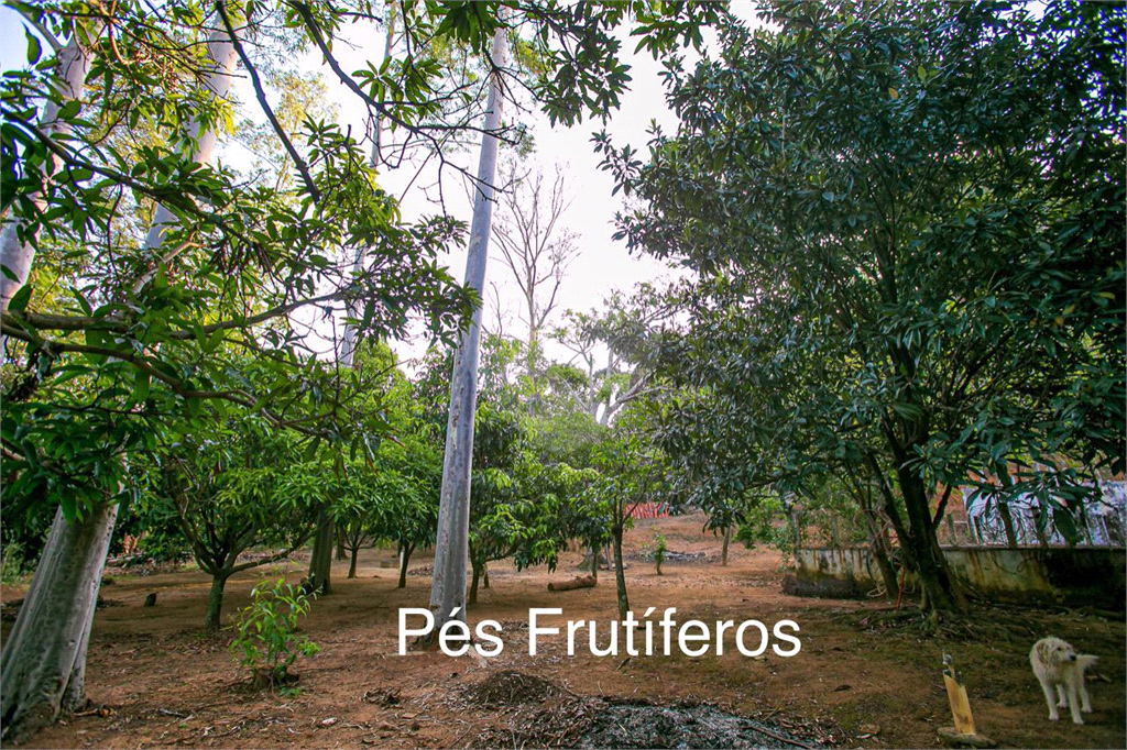 Casa de Condomínio à venda com 7 quartos, 6000m² - Foto 39