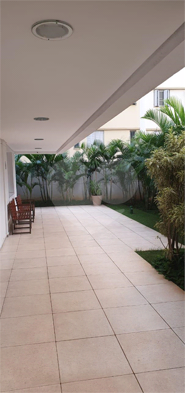 Apartamento / Santana