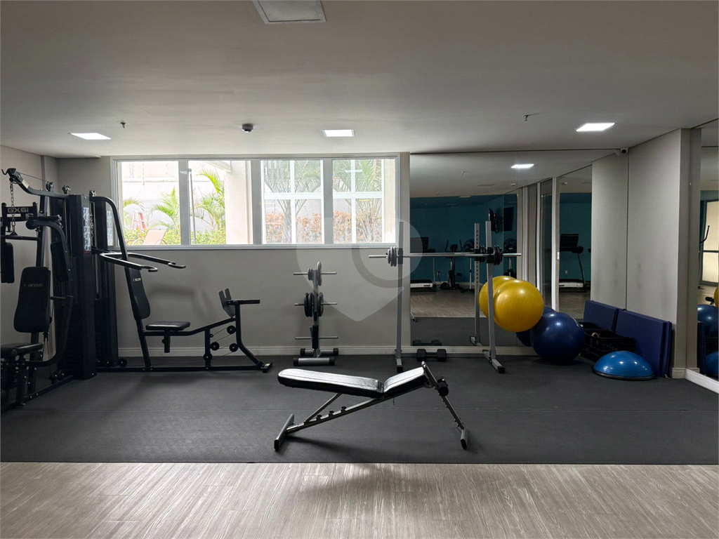 Apartamento Locação - Santana