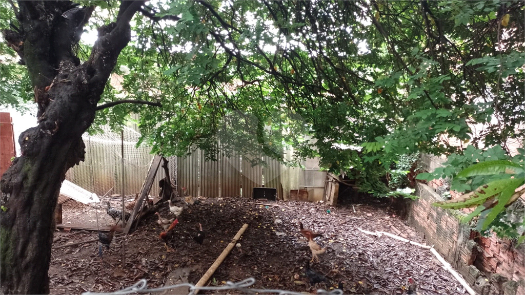 Casa 04 dormitórios para venda e locação na Água Fria em São Paulo/SP