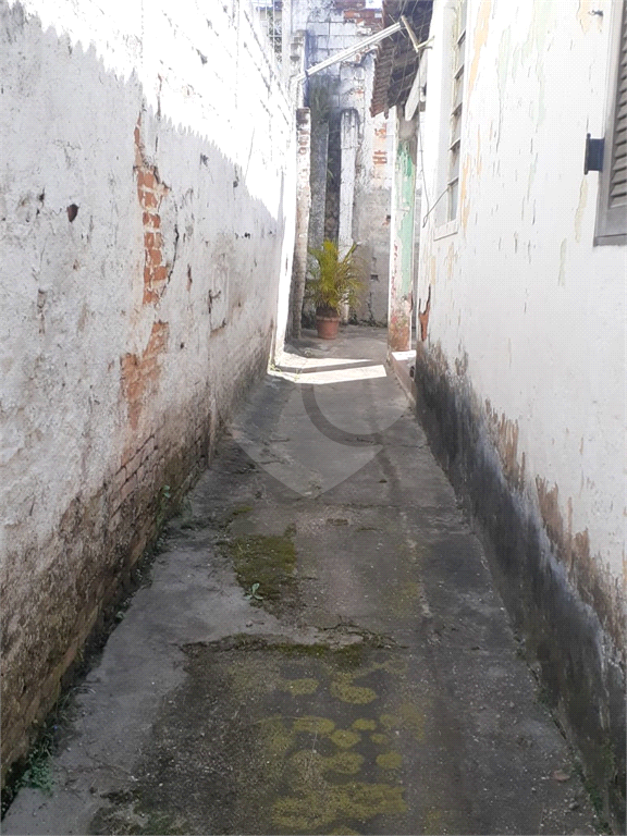 TERRENO NO TUCURUVI