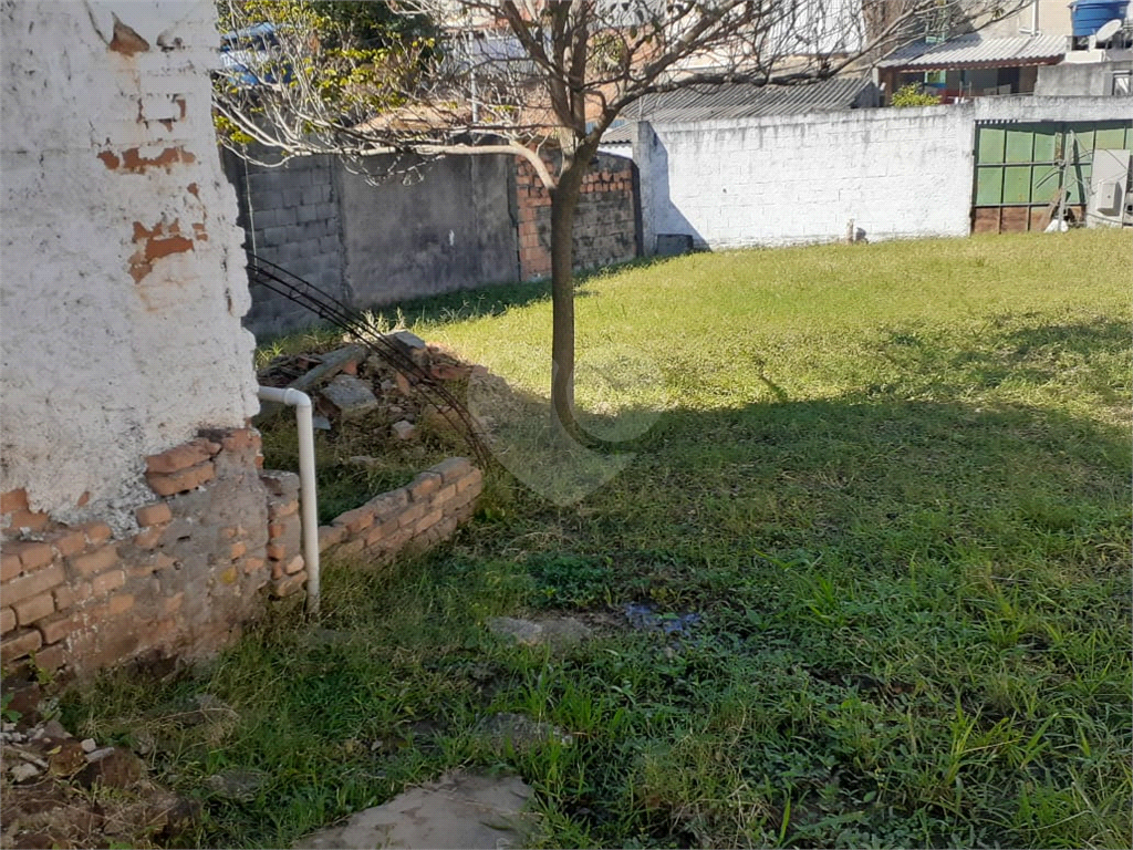 TERRENO NO TUCURUVI