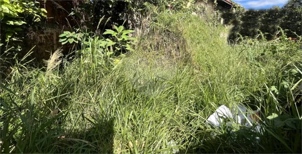 Comercial e ou Residencial