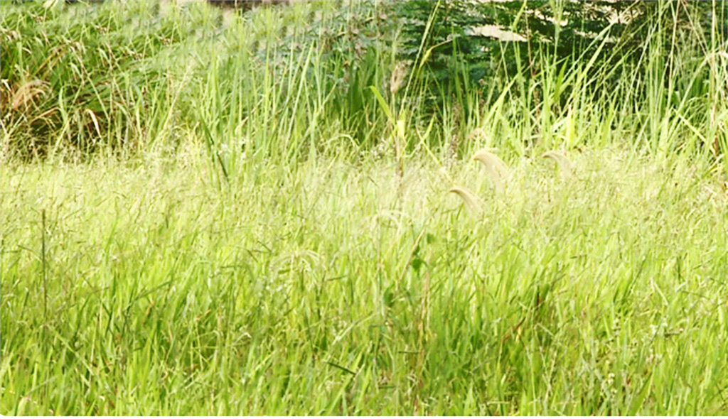 Comercial e ou Residencial