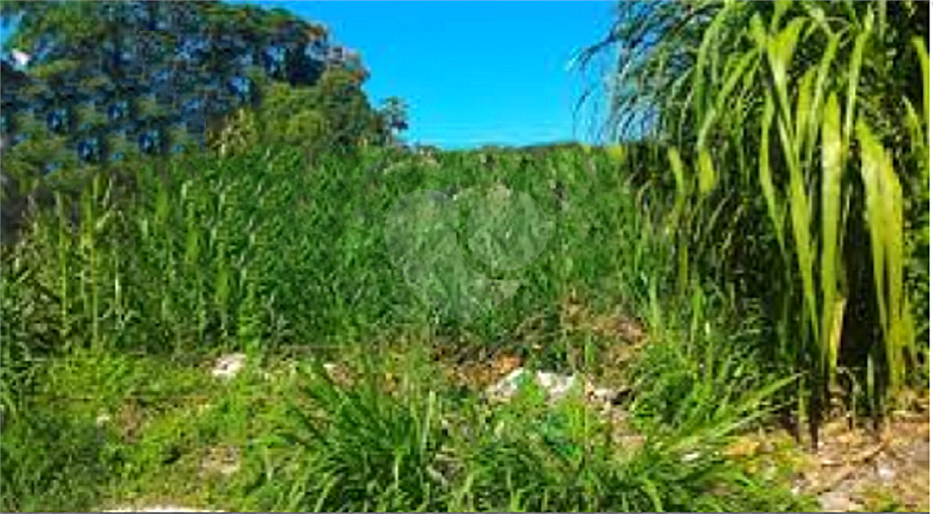 Comercial e ou Residencial