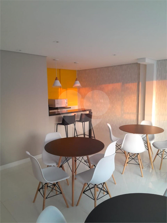 Apartamento 01 dormitório para venda na Vila Paulicéia - São Paulo / SP