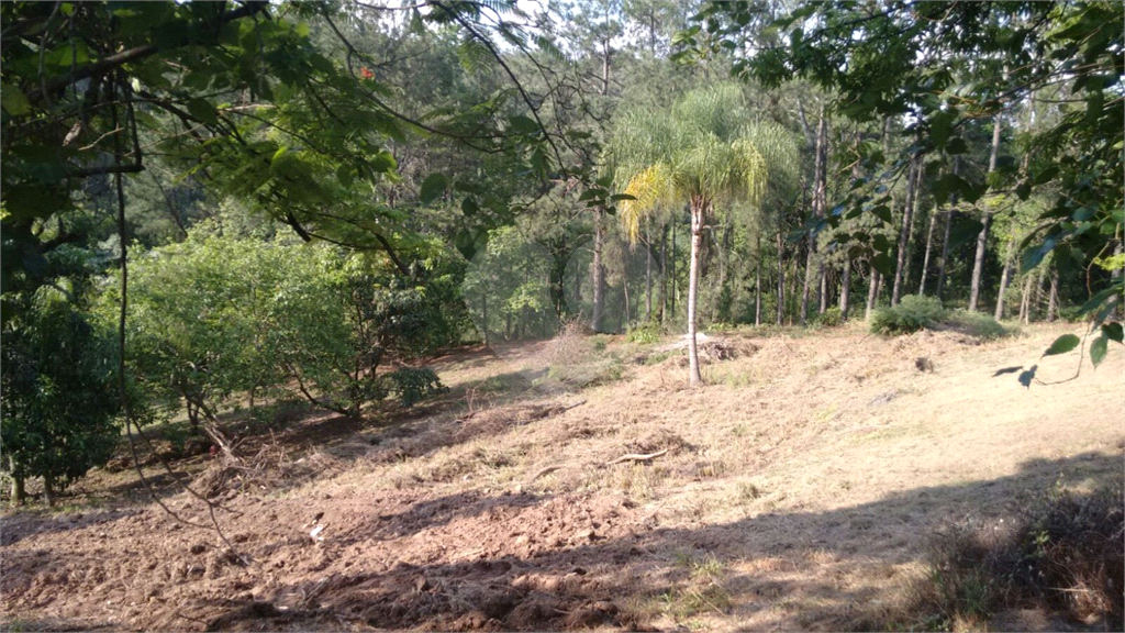 Excelente terreno em Altos do Morumbi! Aproveite e invista o quanto antes. 