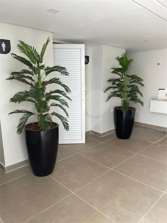 Apartamento 2 dormitórios 1 vaga
