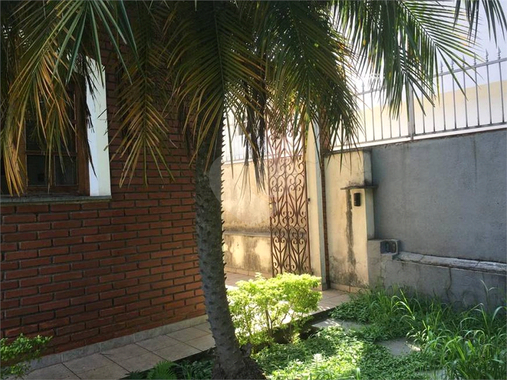 CASA TÉRREA em SANTA MARIA