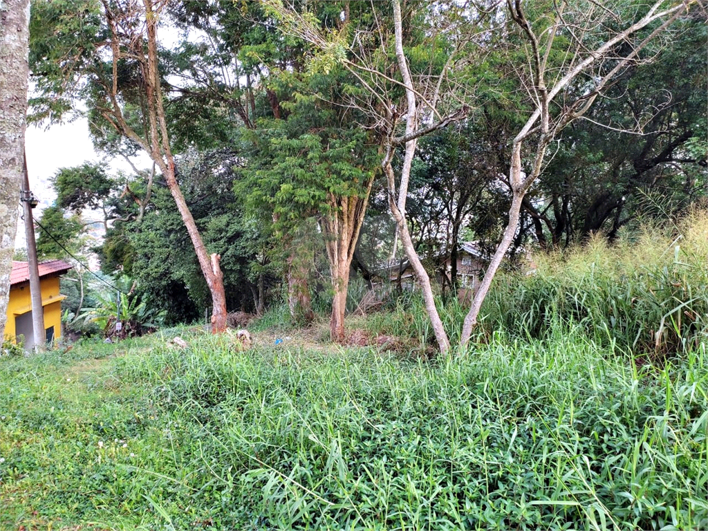 Terreno, 446 m² - Foto 19