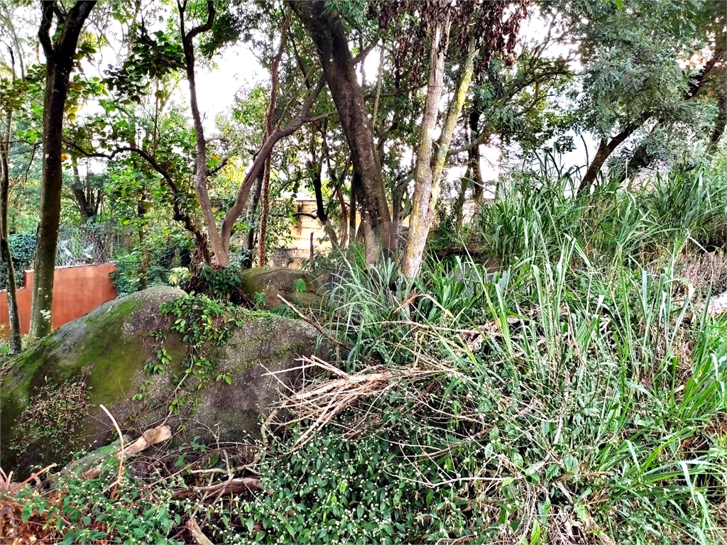 Terreno, 446 m² - Foto 22